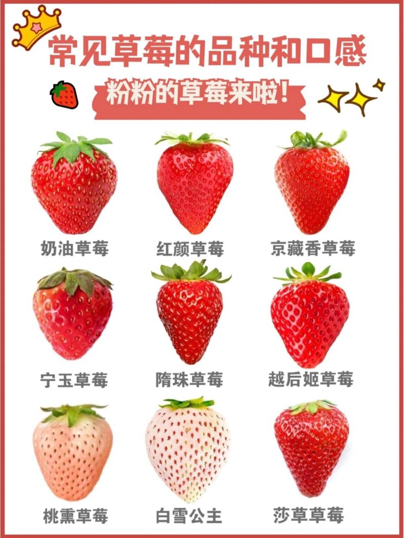 服务行业有哪些?让我们一起走进这些行业的背后,揭开它们的面纱。