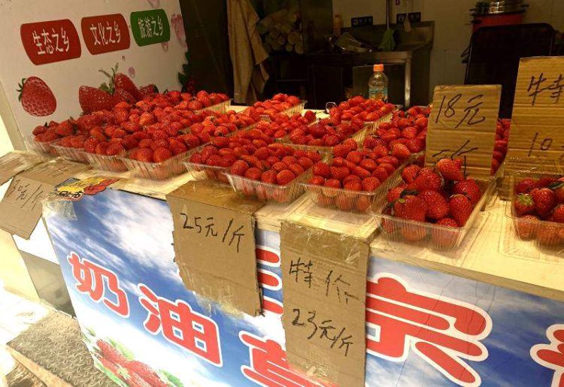 了解厦门出入境检验检疫技术中心官网：一站式服务指南