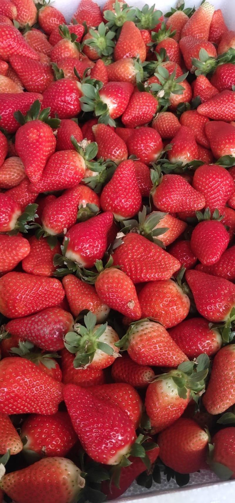 检验检疫服务究竟归属于哪个行业？让我们通过具体案例和数据来探讨。