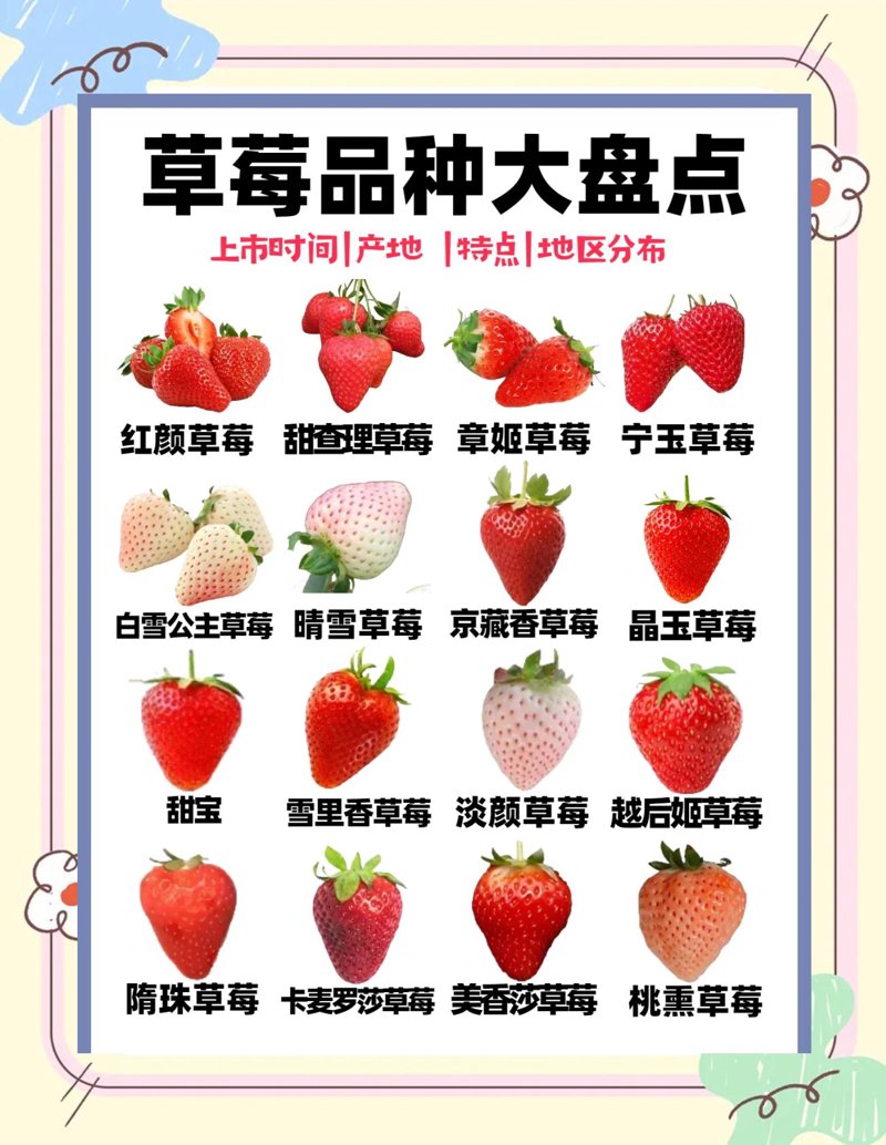 在当今社会,服务行业的多样性让人眼花缭乱,从餐饮到医疗、从教育到旅游,每一种服务都承载着不同的使命与责任。今天,我们就一起探索一下这些领域的具体服务类型,看看它们究竟如何影响我们的日常生活。