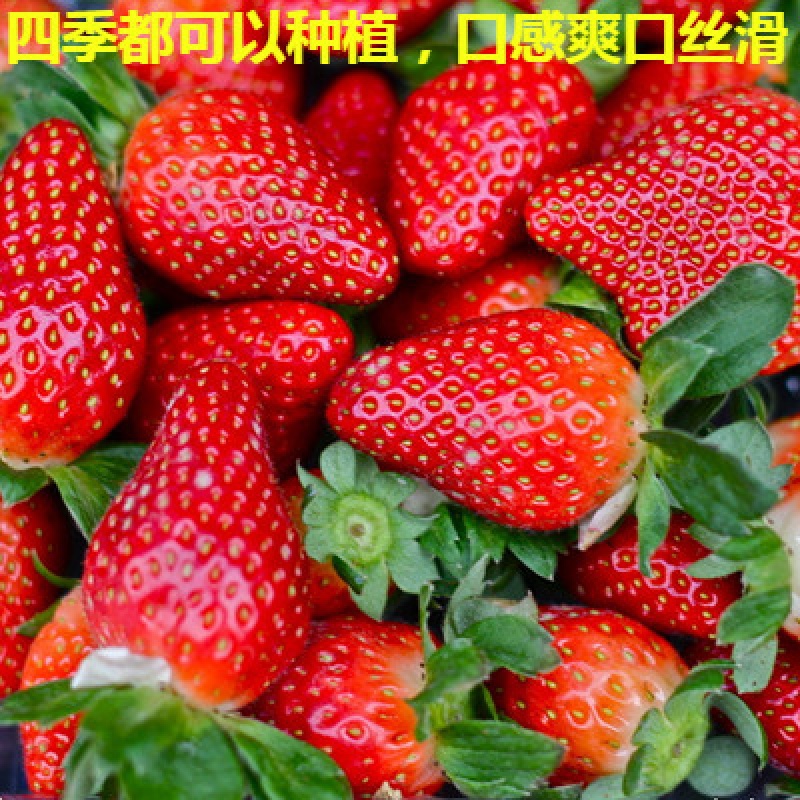服务器：你的网站背后的小英雄